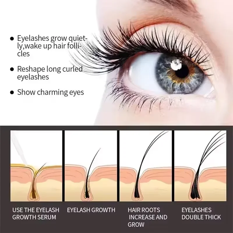 Сыворотка для быстрого роста р – обзор и цена Lash Serum Growth
