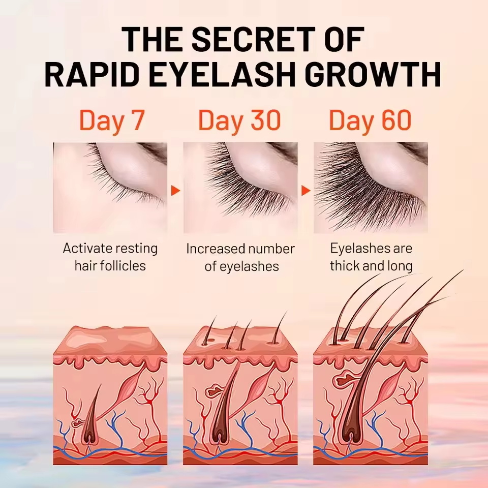 Сыворотка для быстрого роста р – обзор и цена Lash Serum Growth